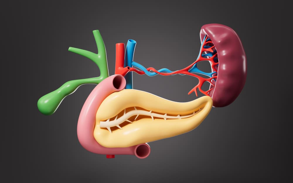 علاج تضخم الطحال بالأشعة التداخلية